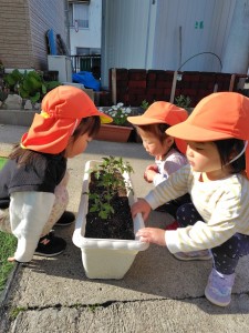 mrousavy2593805032090738086