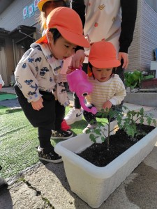 mrousavy3060346465536295377