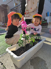 mrousavy3374710843781443880