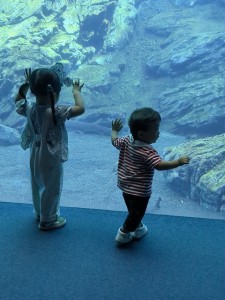 mrousavy1275321522956664807